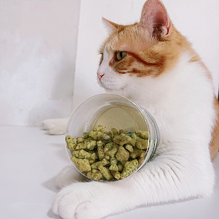猫咪自己打工挣猫零食吃啦