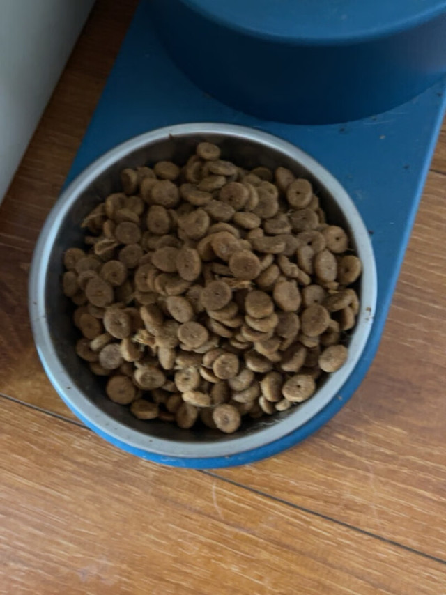 很好，狗狗爱吃，一直买的比乐的狗粮