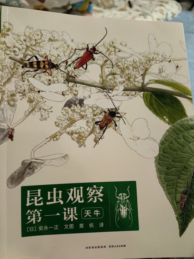 小朋友最近很迷昆虫，正好看到有推送，就买