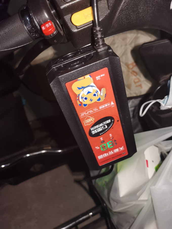 天能电池电瓶充电器