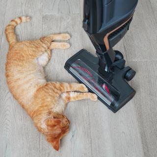 养宠家庭主力清洁电器优选!美诺家用智能吸尘器Triflex HX1 Cat&Dog使用评测