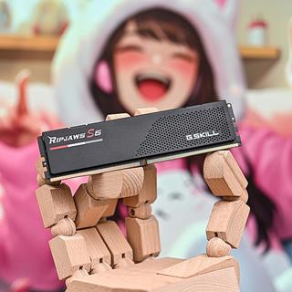 无光风冷装机好选择——芝奇 G.Skill Ripjaws S5 焰刃 DDR5-6400 内存开箱简测
