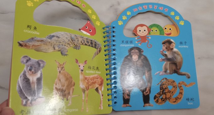 青岛出版社少儿读物
