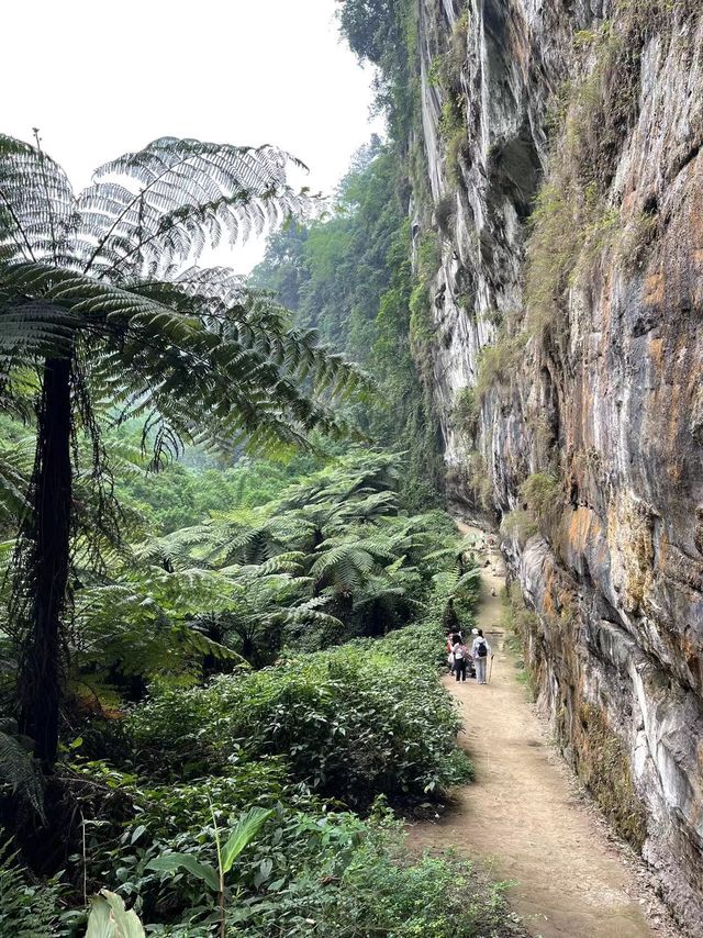 我的运动主场—户外徒步必备雨衣