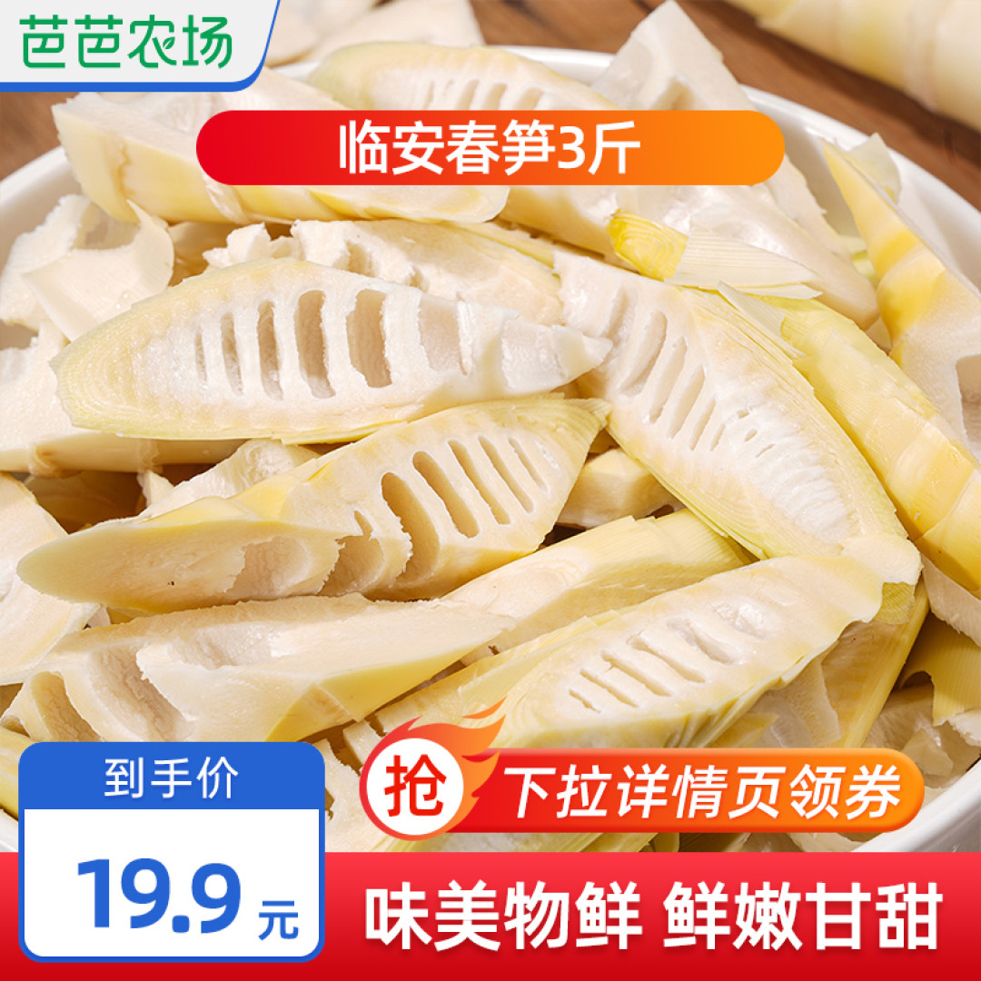 大自然的馈赠:临安春笋,醉人口感的江南美味