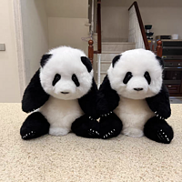 618种草chongker的萌兰幼崽大熊猫玩偶——真的超级可爱