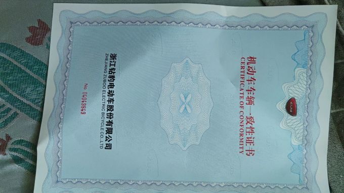 五星钻豹电动车整车