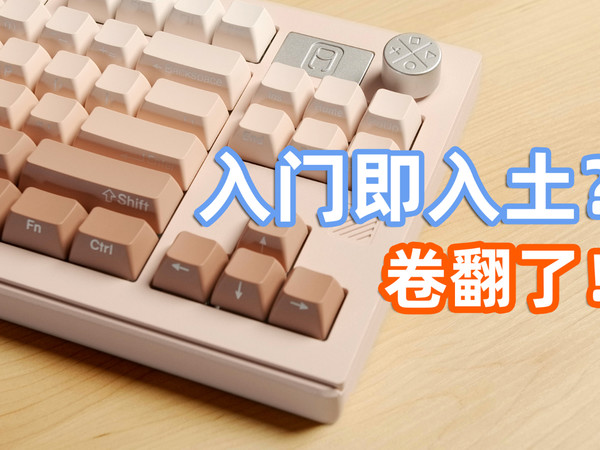 卷到没边？299元的铝坨坨能买吗？维咖WK870