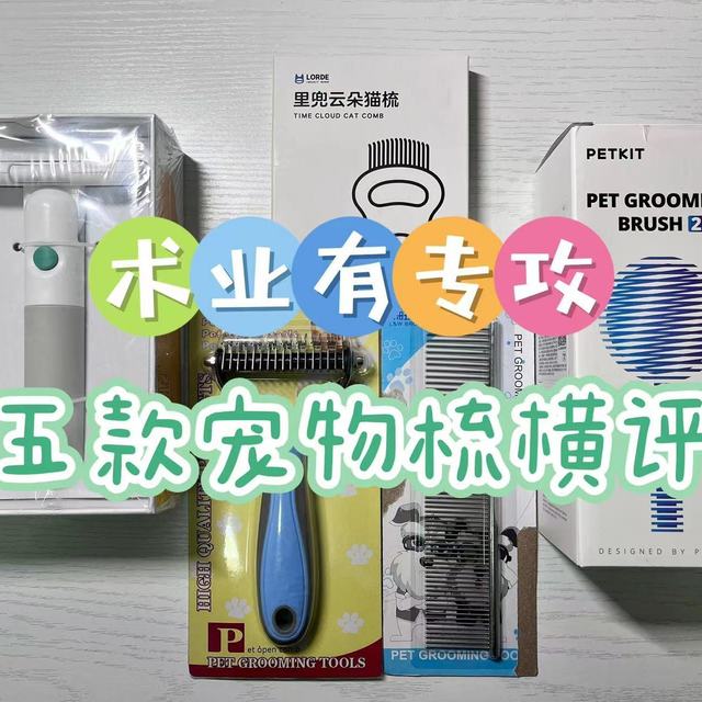 术业有专攻 | 五款宠物梳横评