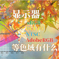 技术干货 篇三：显示器的 sRGB、DCI-P3、NTSC、AdobeRGB 等色域有什么区别？