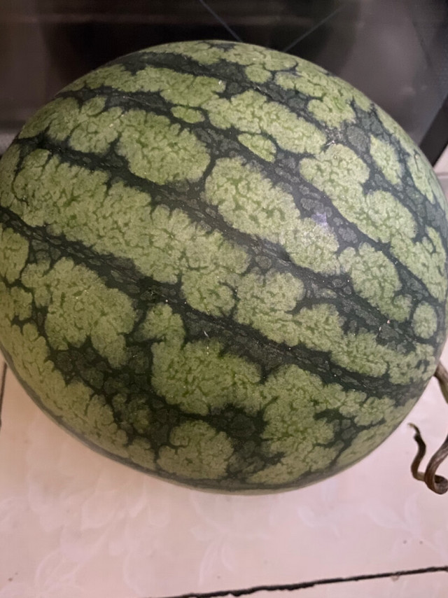 小西瓜🍉黄色心的收到凉凉的这个