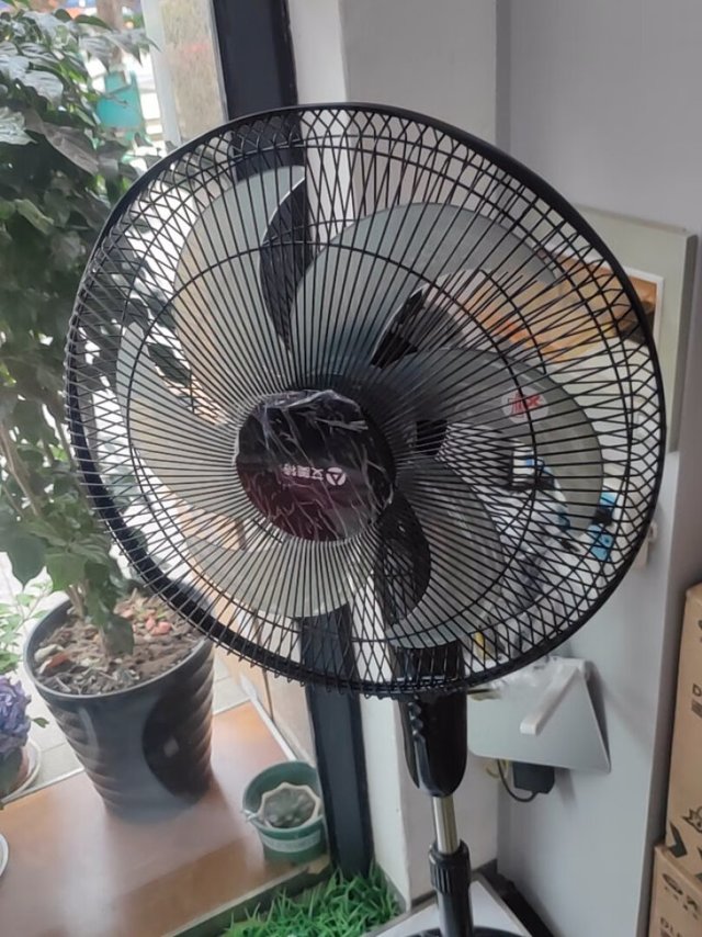艾美特电风扇，好用不贵，推荐购买！这款黑