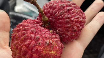 美食 篇十三：火山王荔枝：鲜红外皮下的甜蜜热带风情