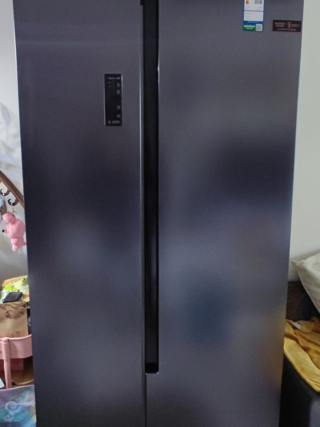 冰箱容量很大，可以存放半个月的食物，送货