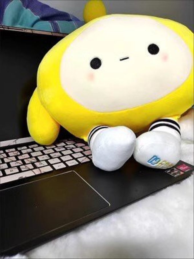 毛绒布艺