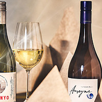 微醺学 篇三：被忽视的智利白葡萄酒 值得一试的4个品种