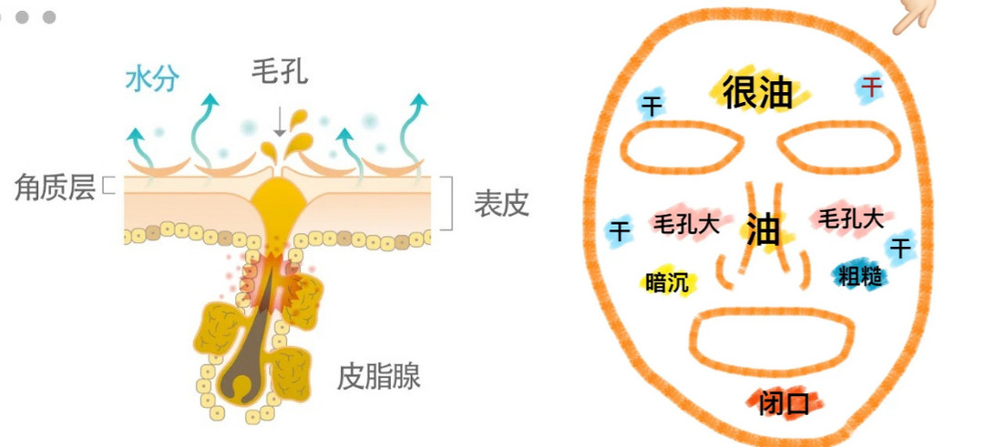 天儿热了，和脸相关的别再摆烂了！（懒人省钱版）