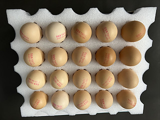 5毛钱的鸡蛋囤了100个结果家里冰箱放不下了
