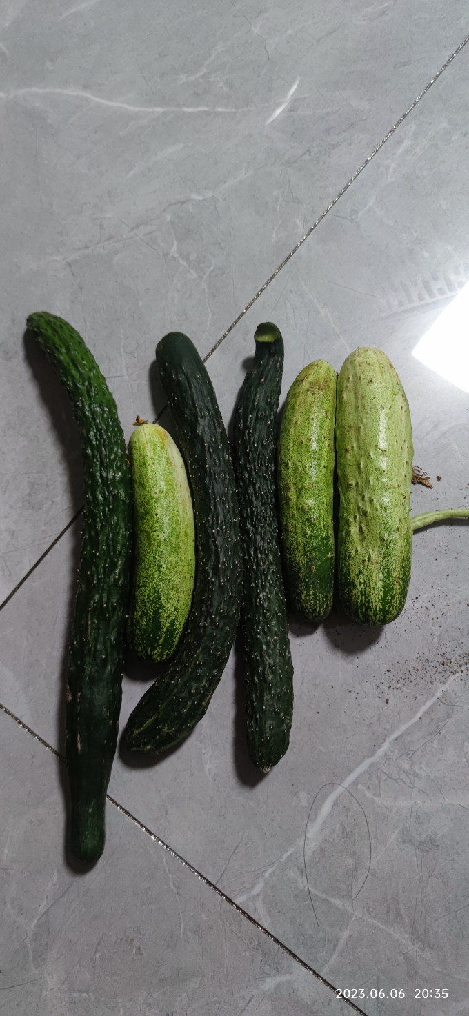 蔬菜