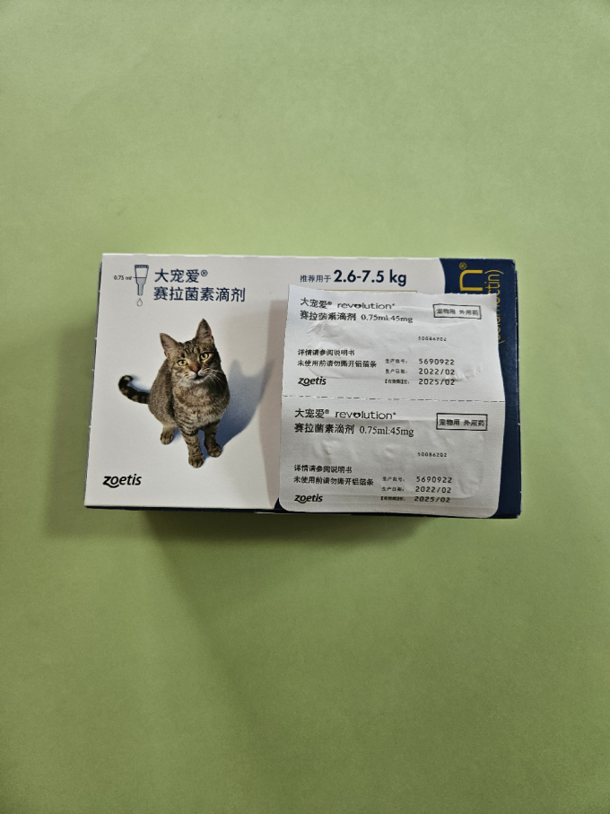 大宠爱猫咪驱虫