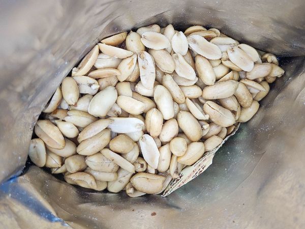 你也用花生米下酒吗？