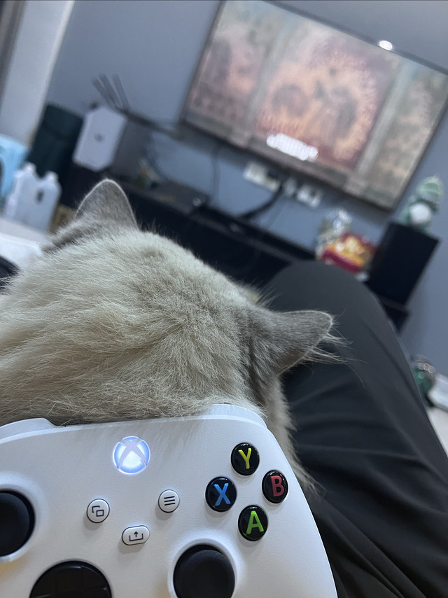 Xbox手柄