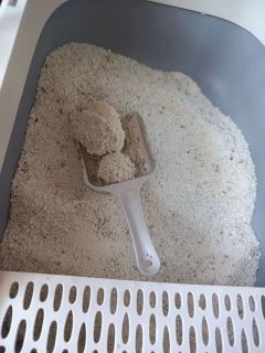 也不知是乌拉还是我体验新猫砂-许翠花