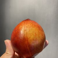 自然鲜亮，红皮黄心，这“皮肤”你羡慕了吗