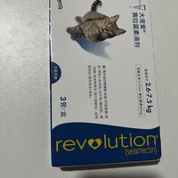 大宠爱给小宠的爱