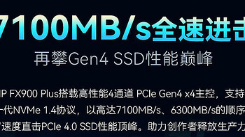 惠普（HP）1TB SSD固态硬盘 M.2接口(NVMe协议) FX900Plus系列