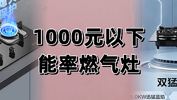 家电 篇二十四：肤感0温差，能率理想家｜能率不到1000元燃气灶推荐