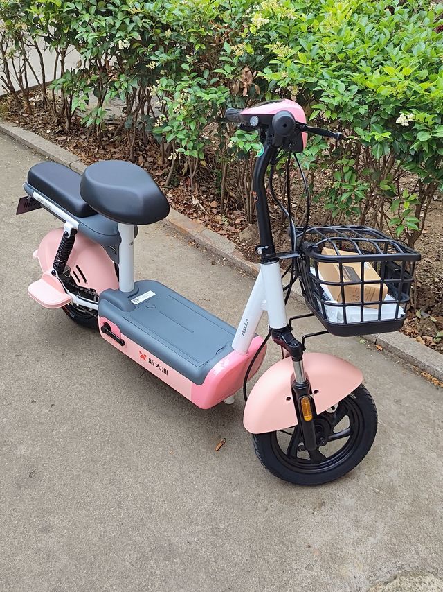 猛男粉到货～新大洲Q1