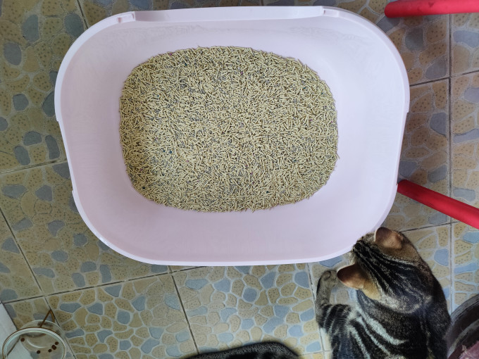 盒边猫砂