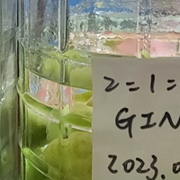 自己酿梅子酒，人生的不同尝试