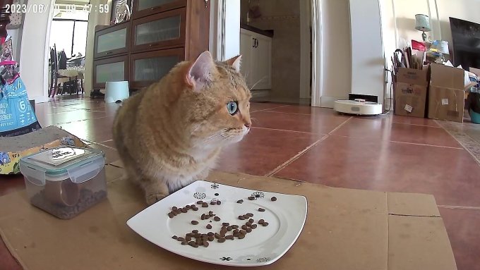 神眸智能摄像机