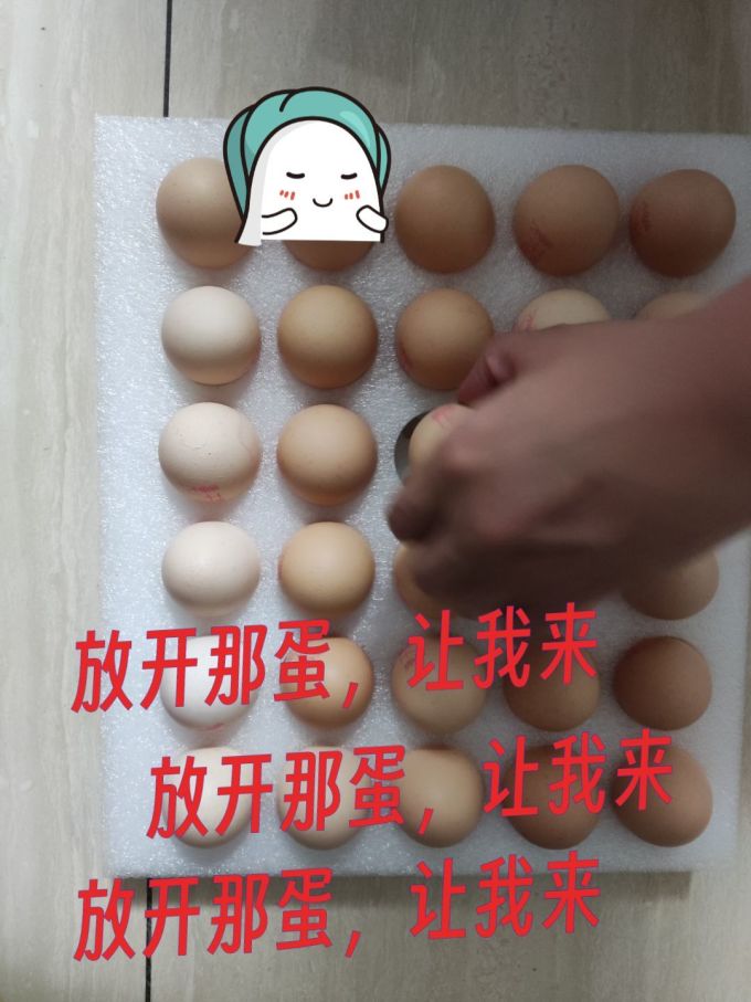 温氏蛋类