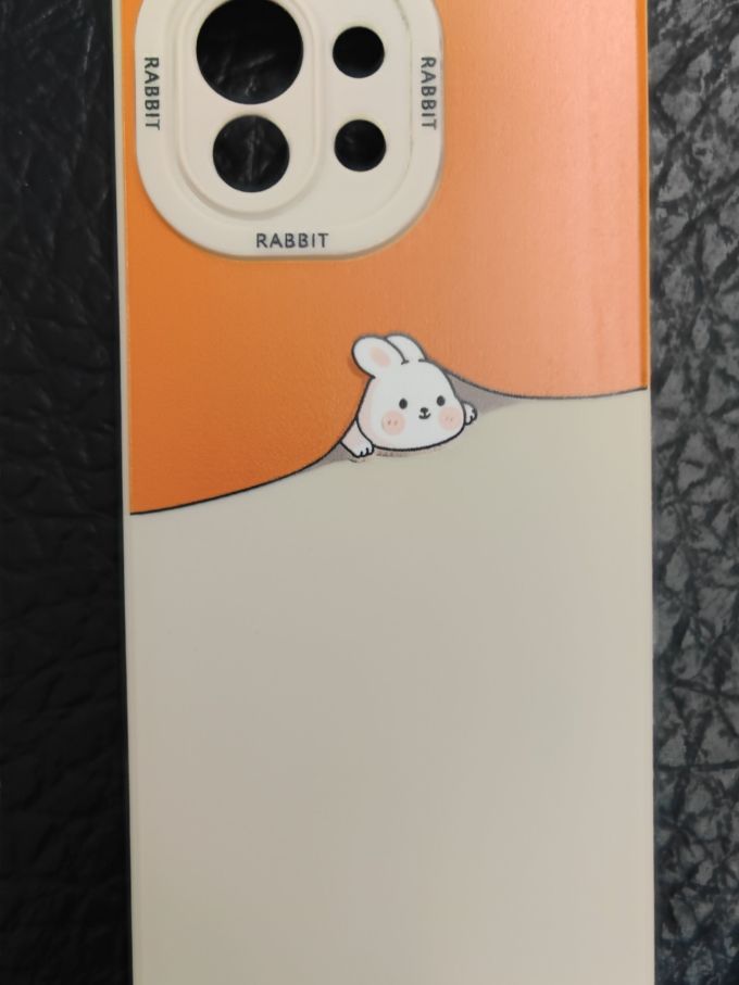 爱胜保护壳