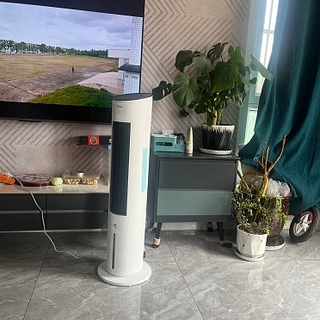 夏天消暑,冷风扇有用吗?移动空调呢?推荐美的和艾美特的