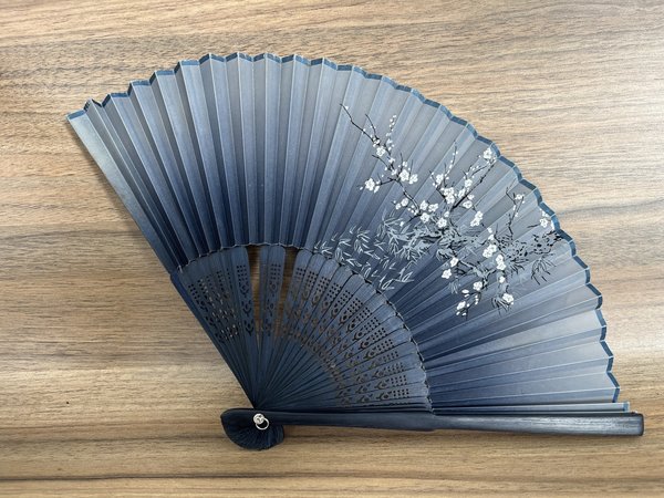这样的折扇你有吗？