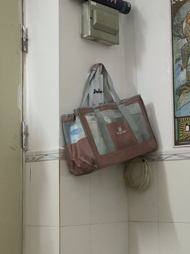 挺好用，也透气结实，带狗子去打针的时候用