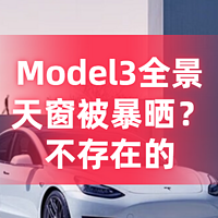 618爆款！这些特斯拉Model3遮阳神器，太顶用了