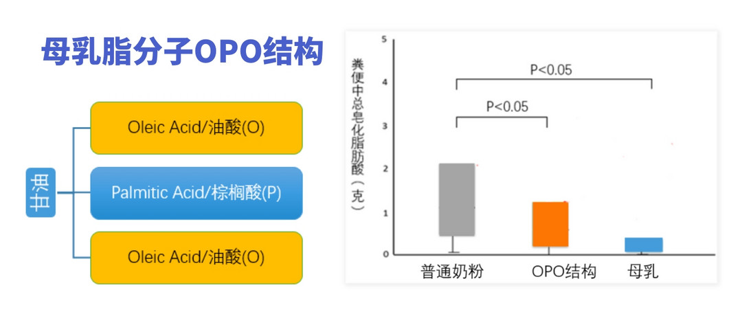 爸妈必读：奶粉中的高端成分一次说清，618囤货不纠结～