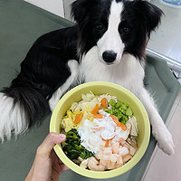 狗狗 篇五：狗狗美食记-酸奶拌鸡胸肉蔬菜