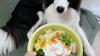 狗狗 篇五：狗狗美食记-酸奶拌鸡胸肉蔬菜