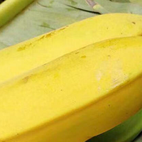 半斤一只的大蕉，只是珠三角的日常