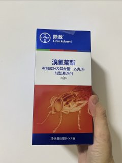 猫猫有跳蚤 驱虫做起来