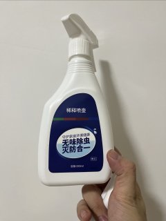 猫猫有跳蚤 驱虫做起来