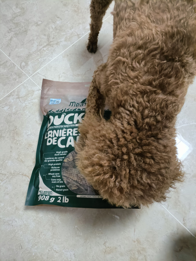 狗狗零食
