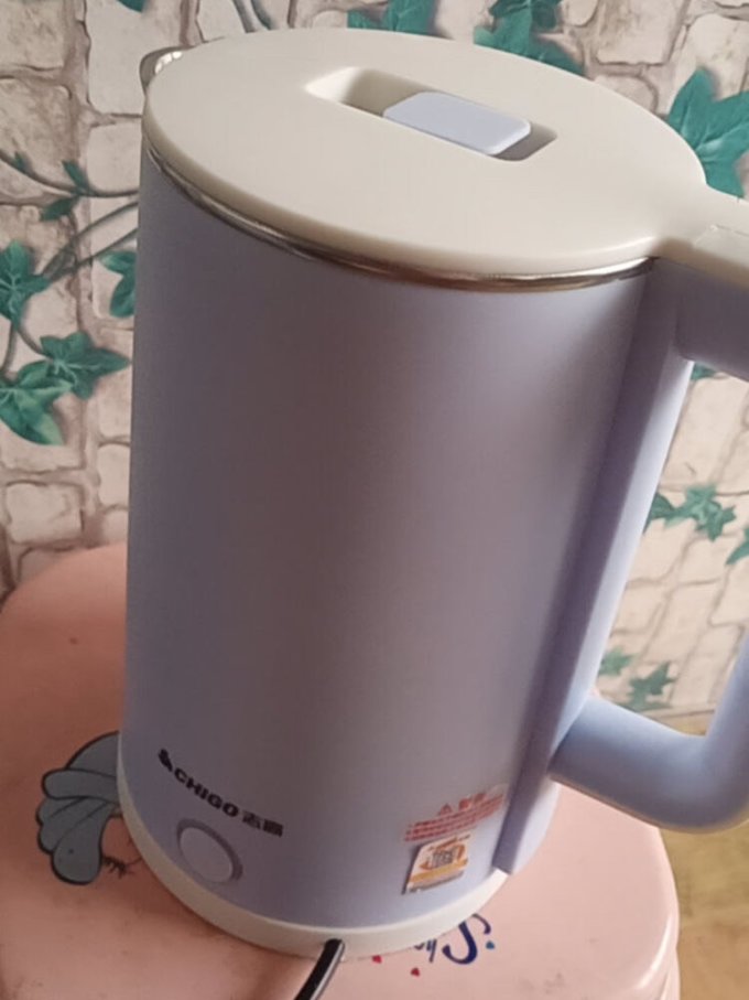 志高电水壶