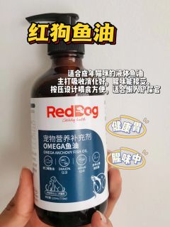 😋🍼养猫三年！猫咪鱼油我有话说